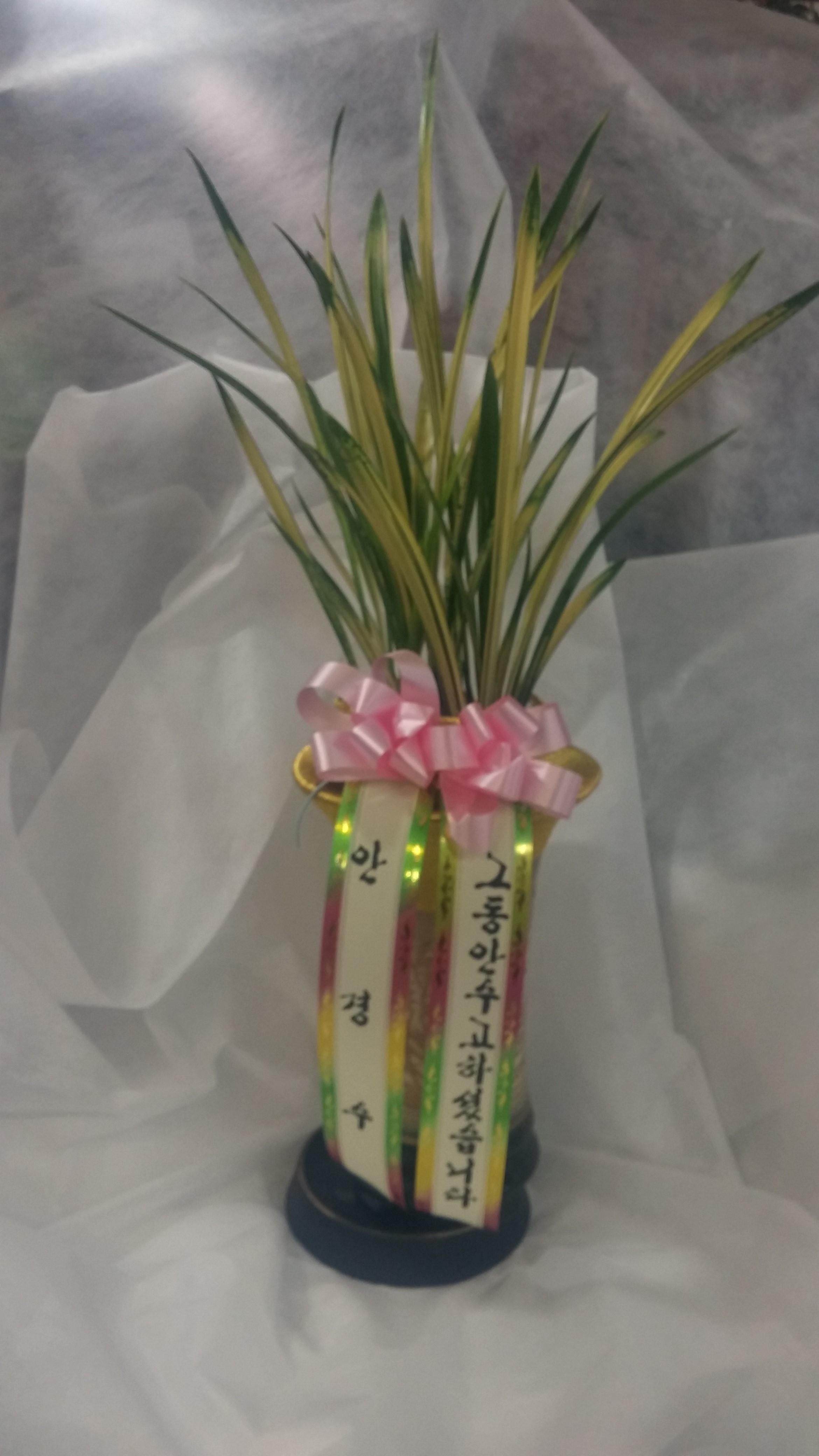 황룡관