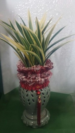 황룡관