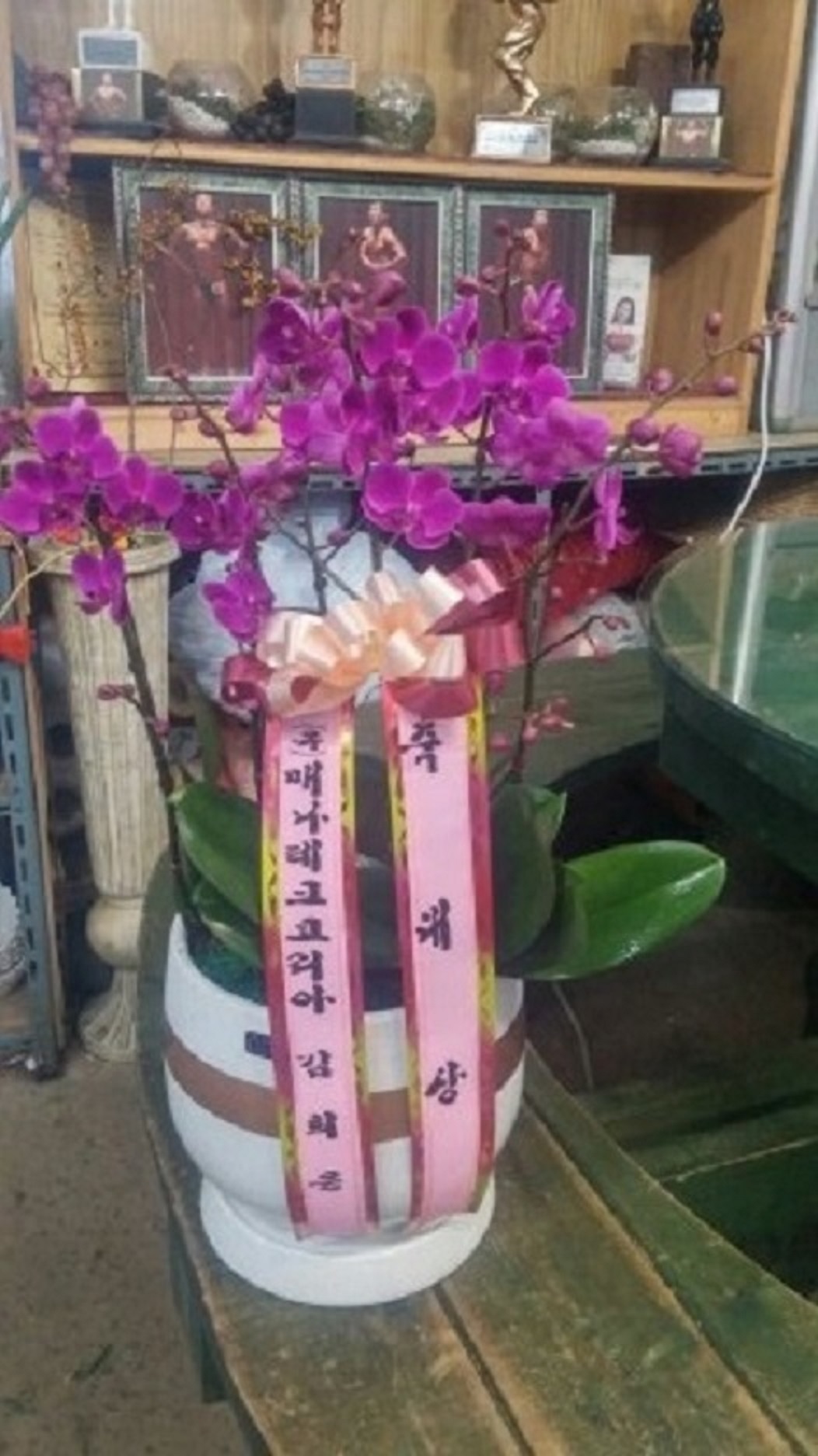 만천홍